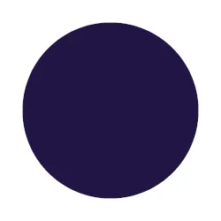 CDU primary blue