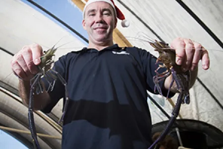 Chadd Mumme recommends eating locally caught fish for Christmas