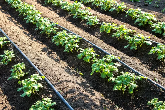 Sustainable innovation