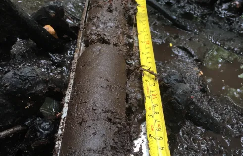 Soil 
