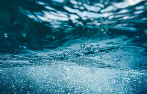 Water