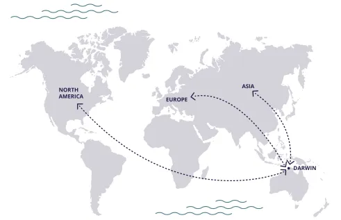 World Map